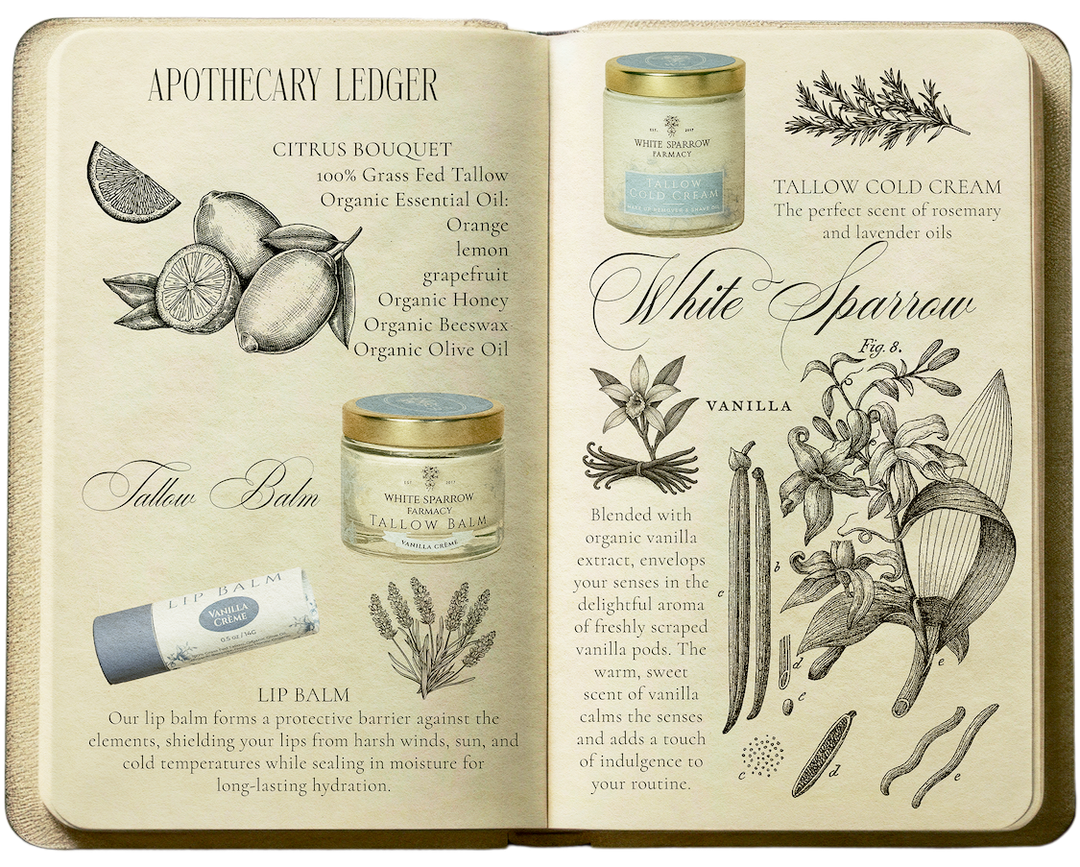 From the Summer Apothecary Journal