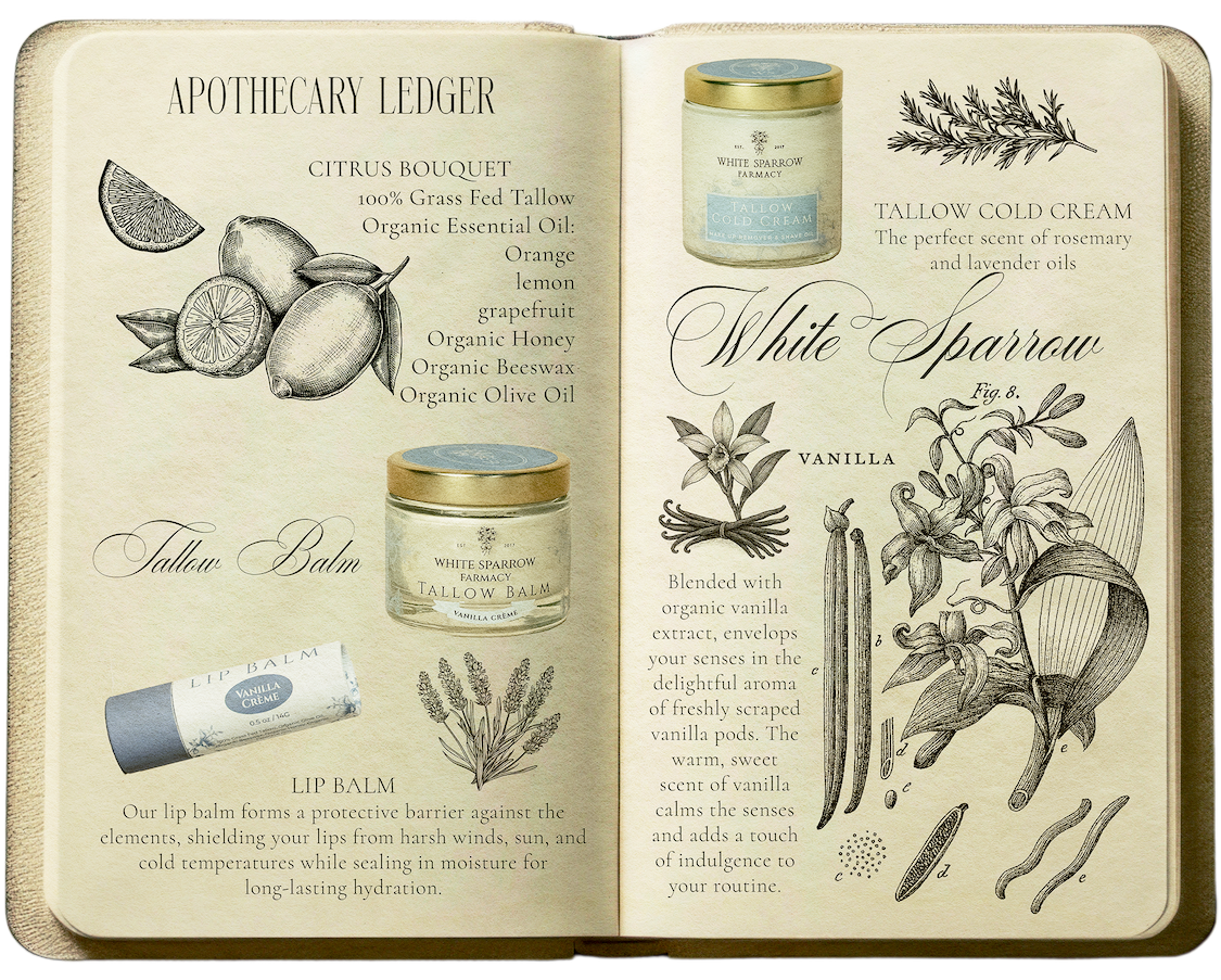 From the Summer Apothecary Journal