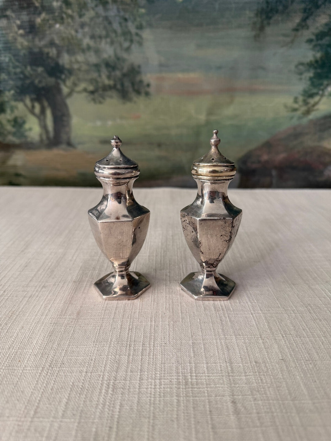 Pair of Silver Tone Salt and Pepper Shakers