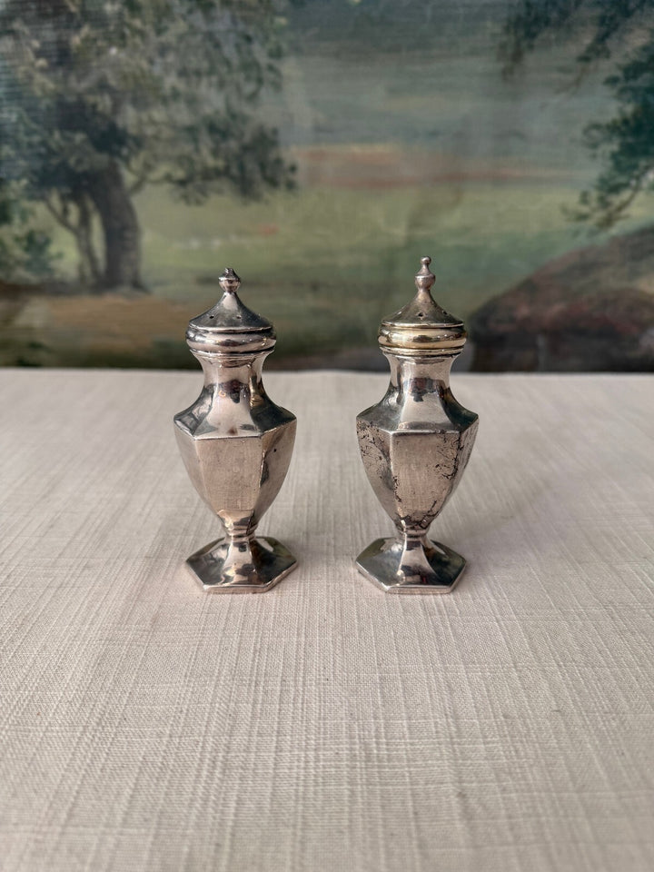 Pair of Silver Tone Salt and Pepper Shakers