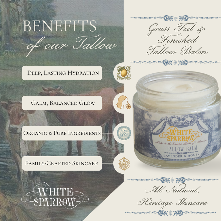 Tallow balm - Lavender & Honey
