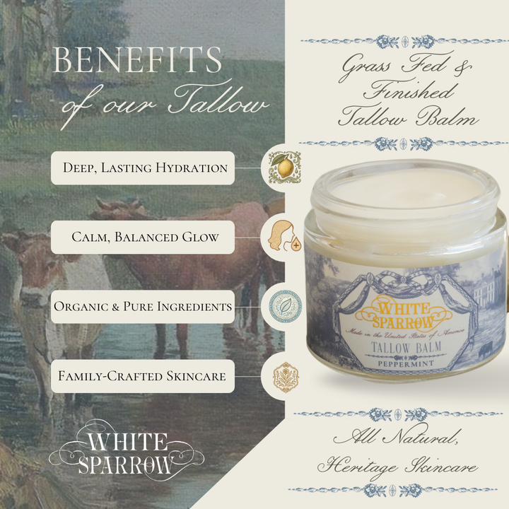 Tallow Balm - Peppermint