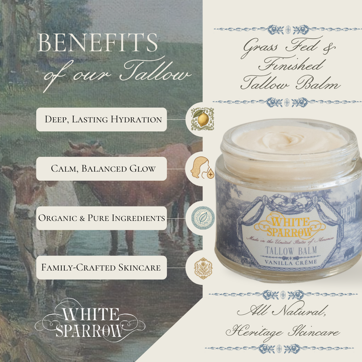 Tallow Balm - Vanilla Crème